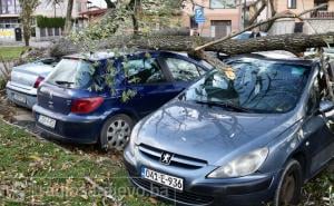 FHMZ: Izdato žuto upozorenje zbog jakog vjetra